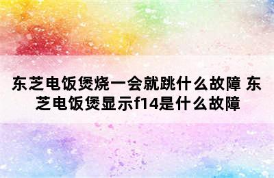 东芝电饭煲烧一会就跳什么故障 东芝电饭煲显示f14是什么故障